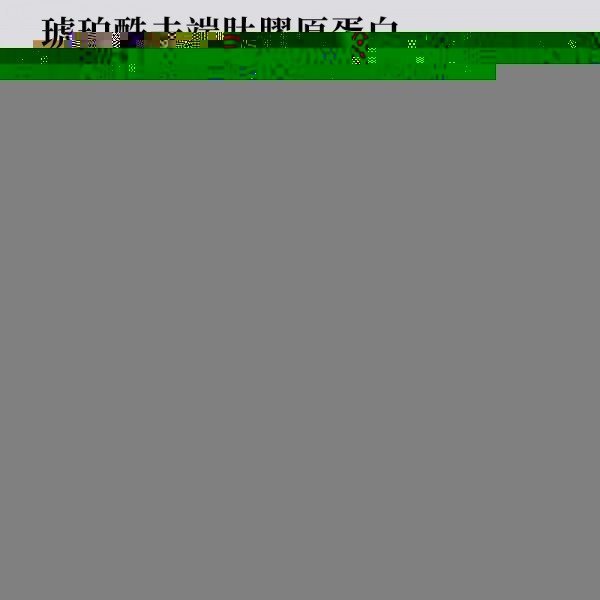 新品上市！！！【TIKO】｜美人三部曲精華液｜日本鈴蘭特研