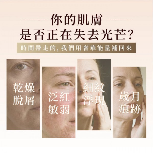 新品上市！！【CHORUS】逆時光綻放霜 50g