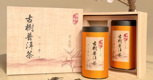 古樹茶推薦｜微妙森林原生態古樹茶老饕組｜天然茶葉品茗收藏首選